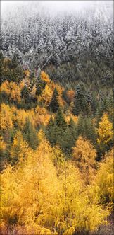 From Gold to White - Jiuzhaigou National Park - China T V (PBH4 00 15793)